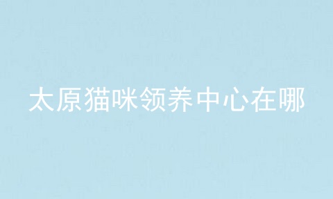 太原猫咪领养中心在哪