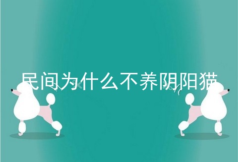 民间为什么不养阴阳猫