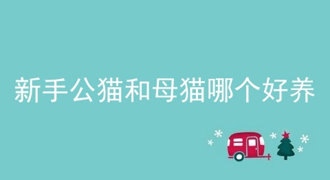 新手公猫和母猫哪个好养