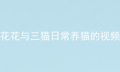 花花与三猫日常养猫的视频