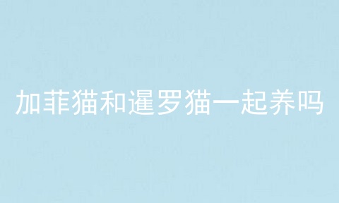 加菲猫和暹罗猫一起养吗
