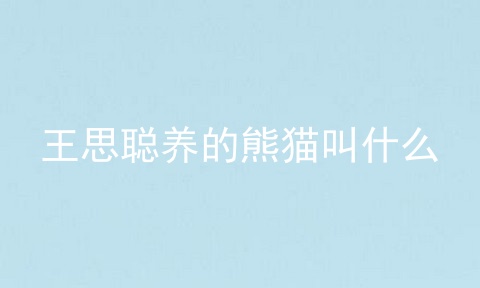 王思聪养的熊猫叫什么