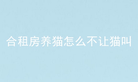 合租房养猫怎么不让猫叫