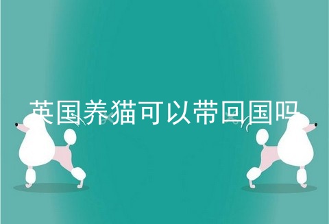 英国养猫可以带回国吗