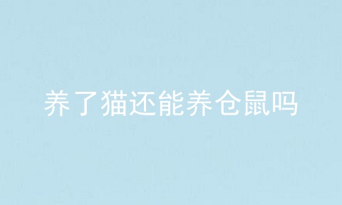 养了猫还能养仓鼠吗