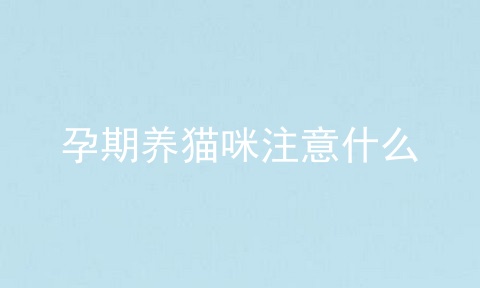 孕期养猫咪注意什么