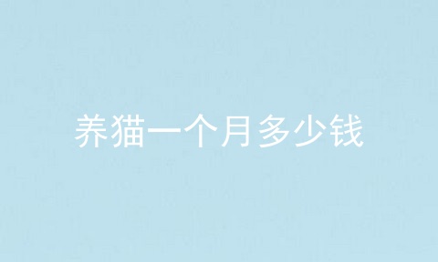 养猫一个月多少钱
