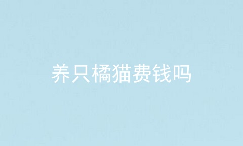 养只橘猫费钱吗