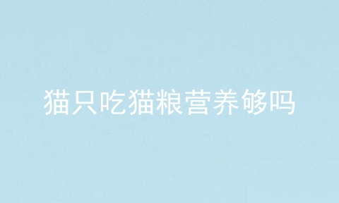 猫只吃猫粮营养够吗