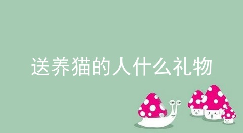 送养猫的人什么礼物