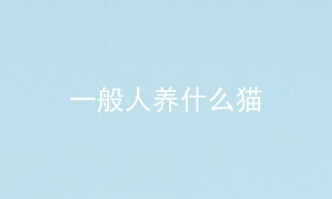 一般人养什么猫