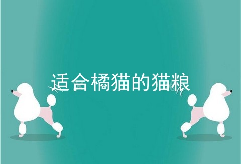 适合橘猫的猫粮