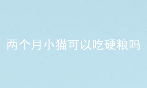 两个月小猫可以吃硬粮吗