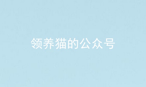 领养猫的公众号