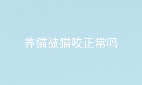 养猫被猫咬正常吗