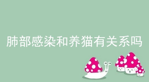 肺部感染和养猫有关系吗