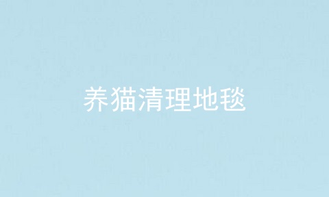 养猫清理地毯