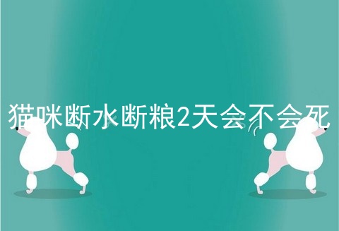 猫咪断水断粮2天会不会死