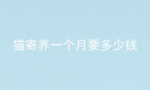 猫寄养一个月要多少钱