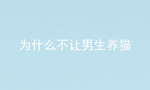 为什么不让男生养猫