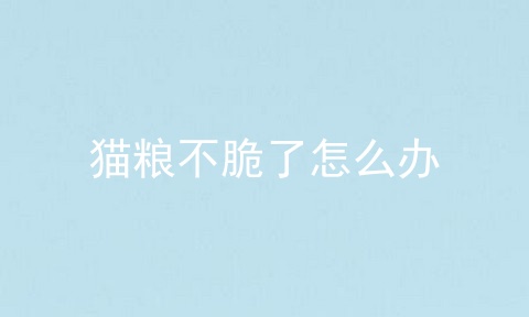 猫粮不脆了怎么办