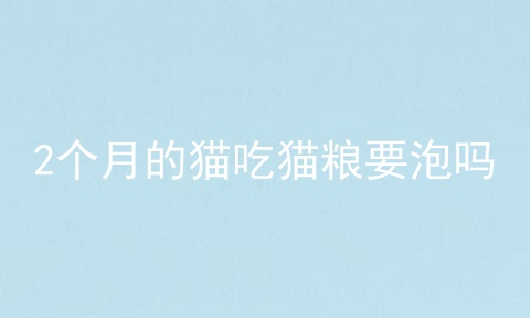 2个月的猫吃猫粮要泡吗