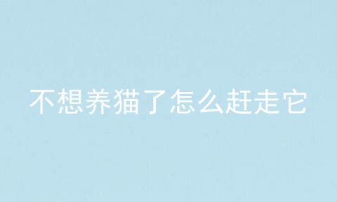 不想养猫了怎么赶走它