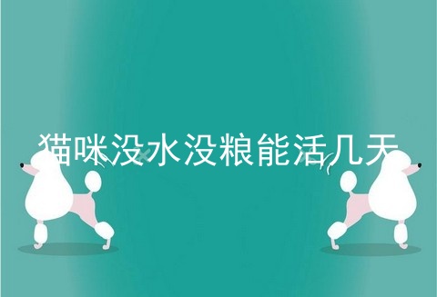 猫咪没水没粮能活几天