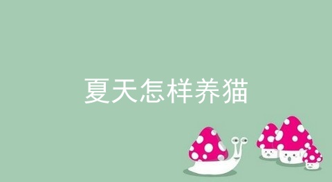 夏天怎样养猫