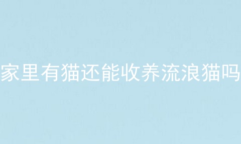 家里有猫还能收养流浪猫吗