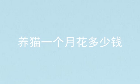 养猫一个月花多少钱