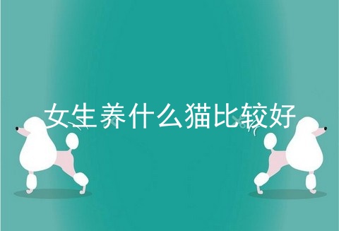 女生养什么猫比较好