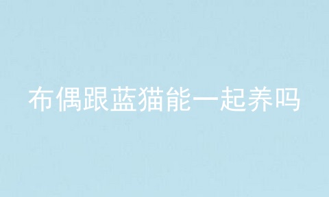 布偶跟蓝猫能一起养吗
