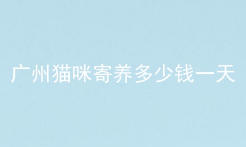 广州猫咪寄养多少钱一天