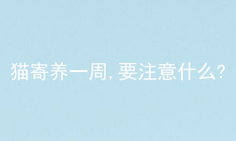 猫寄养一周,要注意什么?