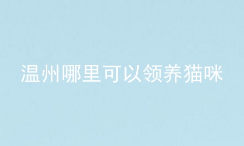 温州哪里可以领养猫咪