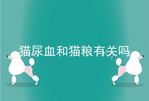 猫尿血和猫粮有关吗