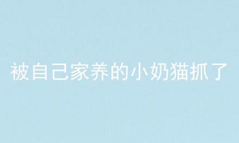 被自己家养的小奶猫抓了