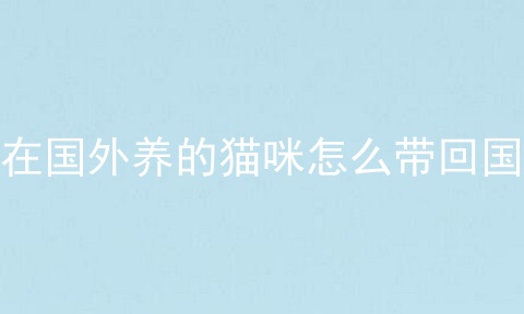在国外养的猫咪怎么带回国