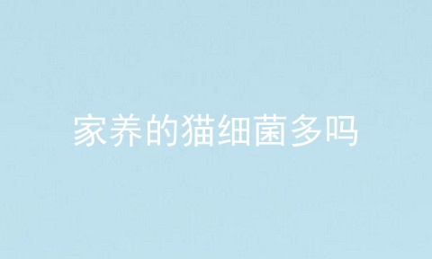 家养的猫细菌多吗