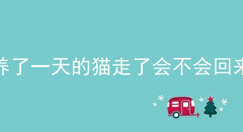 养了一天的猫走了会不会回来