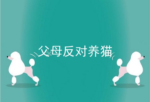 父母反对养猫