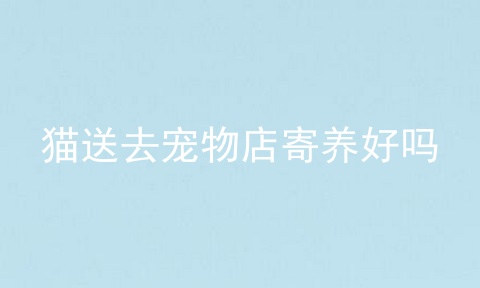猫送去宠物店寄养好吗