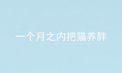 一个月之内把猫养胖