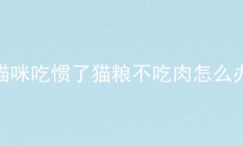猫咪吃惯了猫粮不吃肉怎么办