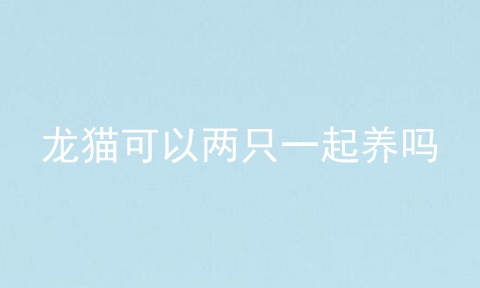 龙猫可以两只一起养吗