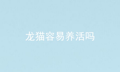 龙猫容易养活吗