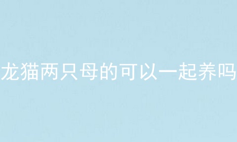 龙猫两只母的可以一起养吗