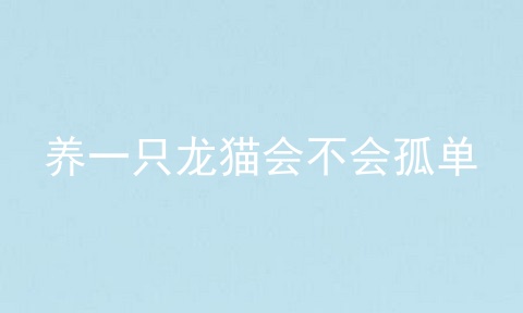 养一只龙猫会不会孤单