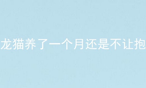 龙猫养了一个月还是不让抱